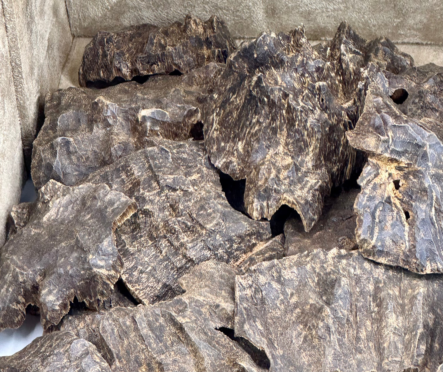 Clementine Indian Oud   كلمنتين هندي فاخر